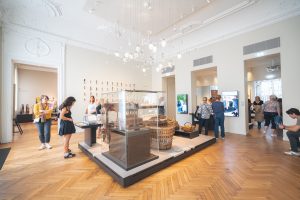 Visite du musée du vin de Champagne et d’Archéologie régionale